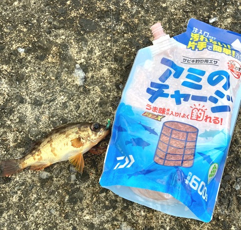 ダイワ アミのチャージ でサビキ釣りに挑戦 釣果は てとら釣り キャンプ