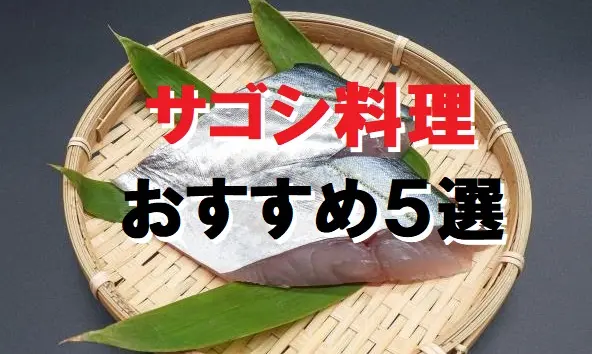 サゴシ サワラ の簡単おすすめ料理５選 てとら釣り キャンプ