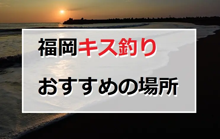 福岡の堤防キス釣りおすすめの場所３選 てとら釣り キャンプ