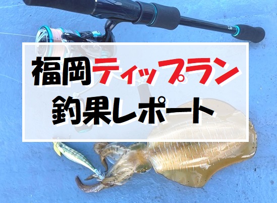 福岡ティップランエギング21 釣果レポート てとら釣り キャンプ