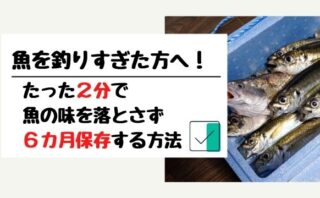 福岡で今釣れる魚は ２４種の魚を季節ごとに紹介 てとら釣り キャンプ