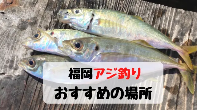 福岡の堤防アジ釣り おすすめの場所３選 てとら釣り キャンプ
