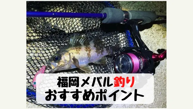 福岡の堤防メバル釣り おすすめのポイント３選 てとら釣り キャンプ
