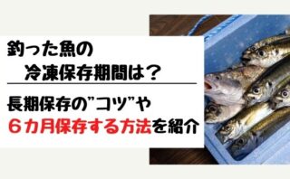 保存版 ササイカ釣り攻略まとめ てとら釣り キャンプ 保存版 ササイカ釣り攻略まとめ てとら釣り キャンプ