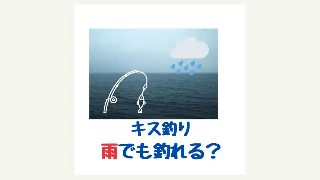 キスは雨でも釣れるの 初心者向けに解説 てとら釣り キャンプ