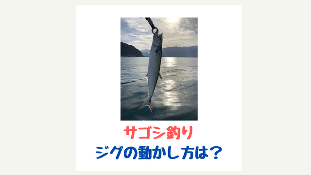 サゴシの釣り方徹底解説 ジグの動かし方３パターンの紹介 てとら釣り キャンプ